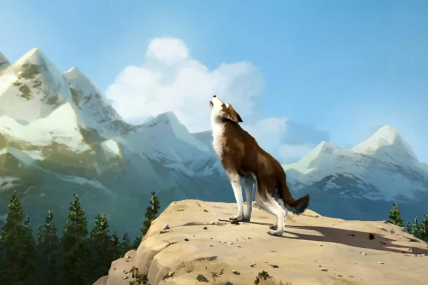 10 filmes sobre animais para você assistir com seu pet na Netflix