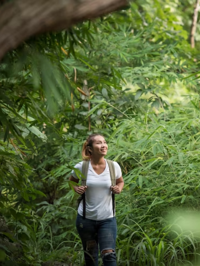 Contato com a natureza faz bem para a saúde