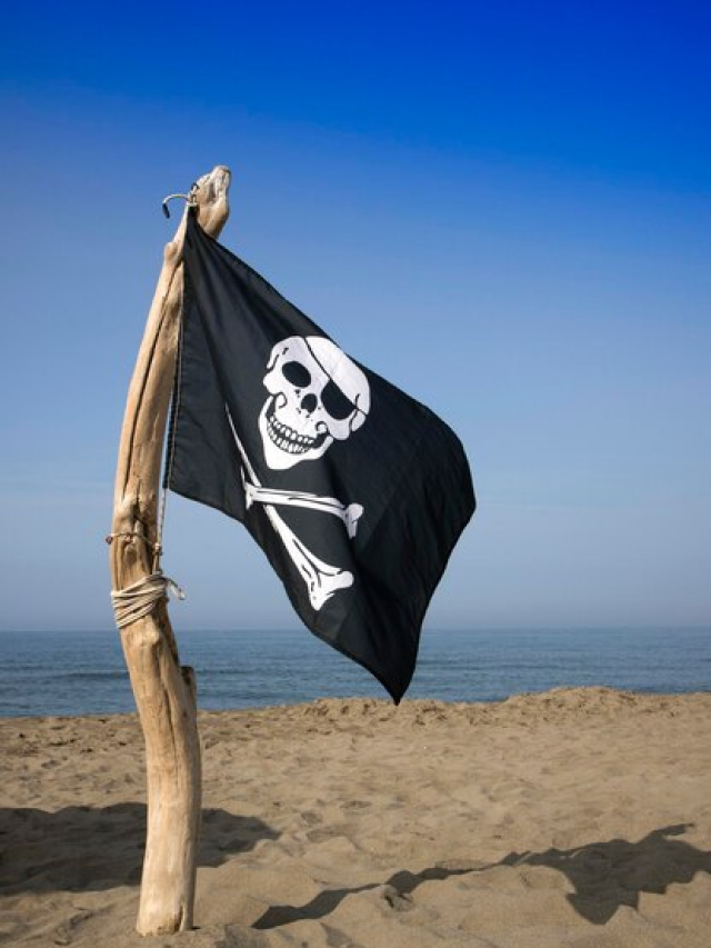 A BANDEIRA PIRATA